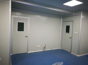 如何選擇專(zhuān)業(yè)正規(guī)的車(chē)間凈化工程密封膠公司