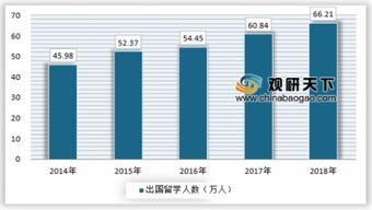 留學(xué)中介市場持續(xù)升溫 一攬子服務(wù)成各公司標(biāo)配